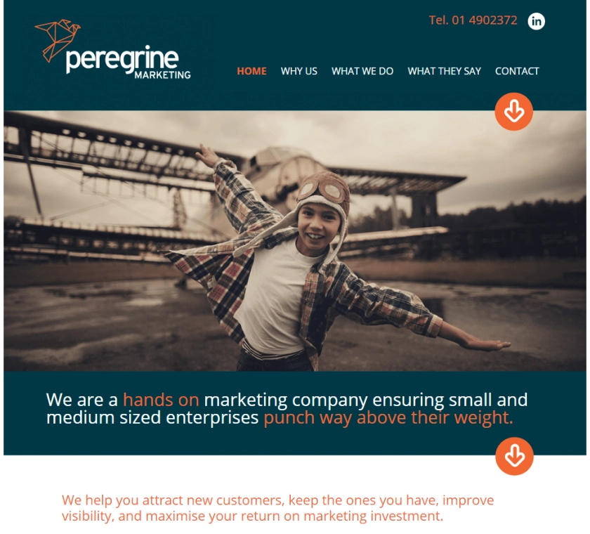 Peregrine Marketing logo