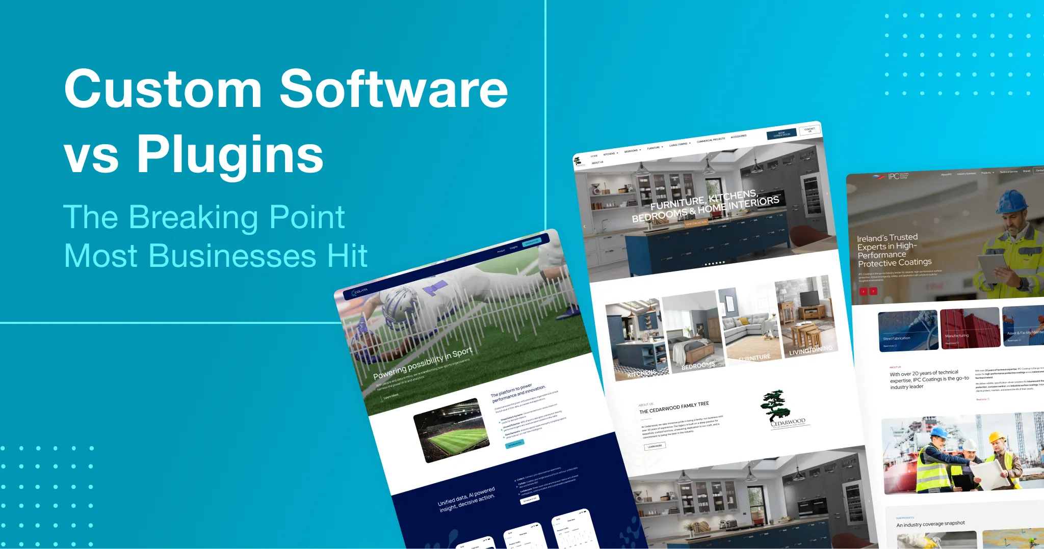 Custom Software vs Plugins
