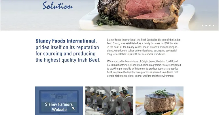 Slaney Foods Website