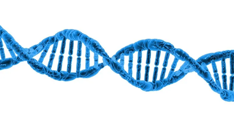 How to improve your Digital DNA