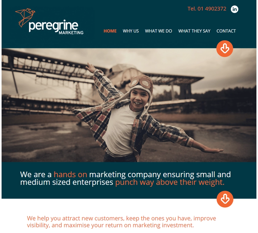 Peregrine Marketing logo