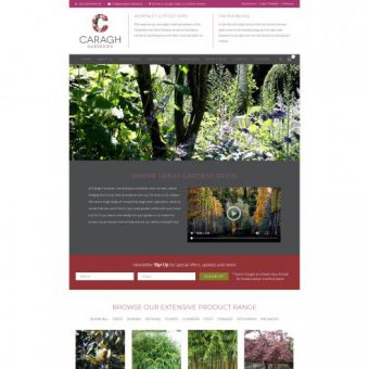 Caragh Nurseries
