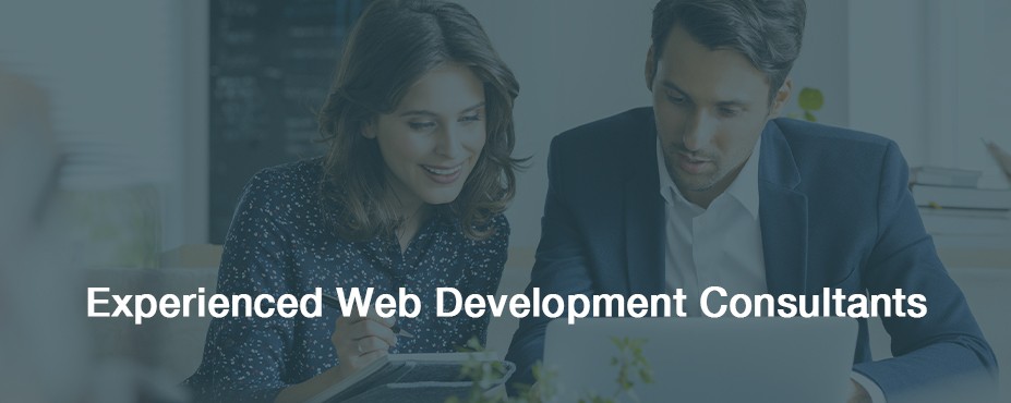website consultancy