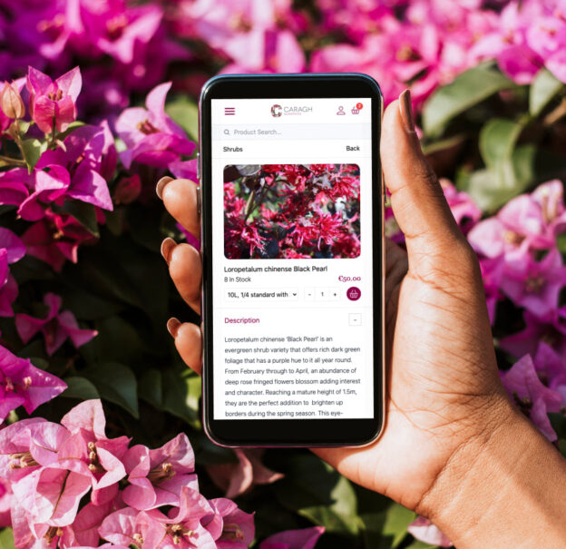 Person holding a smartphone displaying the Caragh Nurseries Progressive Web App